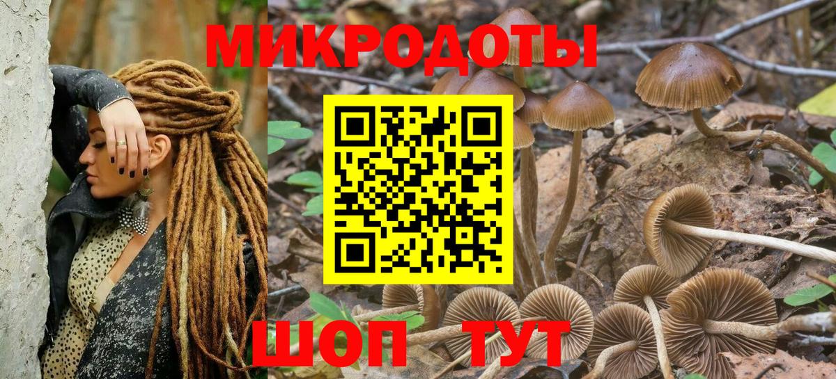 Галлюциногенные грибы Psilocybine cubensis  Вход с VPN  Белая Калитва 