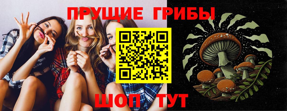Псилоцибиновые грибы Psilocybe Белая Калитва